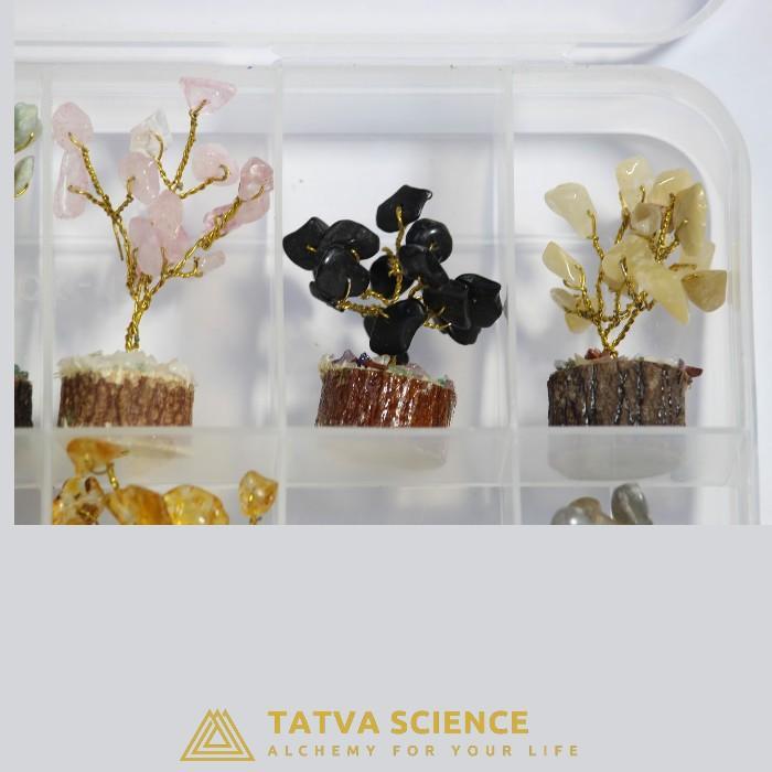 Small Tree Crystal Box2